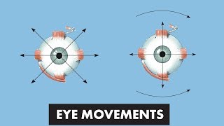 Eye Movements  Anatomical Movements vs Cardinal Positions of Gaze  MEDZCOOL [upl. by Randa161]