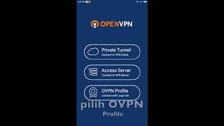 Install OpenVPN Android [upl. by Retsae]