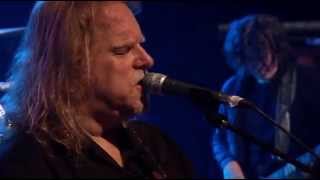 Gov´t Mule Hondarribia Blues Festival 2014 [upl. by Tristas]