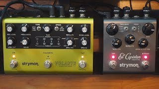 Strymon Volante vs Strymon El Capistan  Tape Loopers Comparison [upl. by Vitus215]