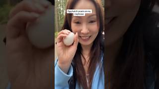 Easter meets early April Fool’s  Egg hunt prank prank family familypranks aprilfools easter [upl. by Iorgos883]