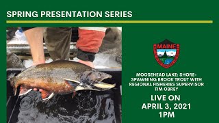 Moosehead Lake Shorespawning brook trout with Regional Fisheries Supervisor Tim Obrey [upl. by Nima]