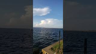 Caloosahatchee River Ft Myers FL [upl. by Rad]