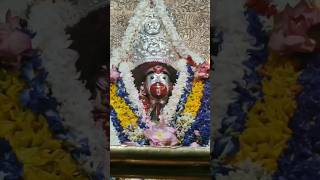 quotjay maa taraquotquotजय माँ ताराquotjay maa tara songjay maa tara gaanjaymaatara ytshorts shortsfeed [upl. by Kumagai]