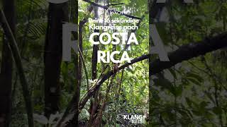 Deine Klangreise nach COSTA RICA [upl. by Derna369]