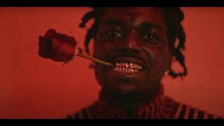 Kodak Black  Catch Fire [upl. by Whiney]