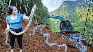 The excavator opens the way to the mountain to meet the giant python [upl. by Sokem]