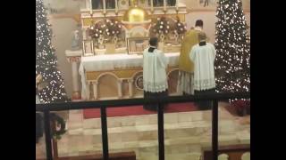 Incensing of the altar TLM [upl. by Blondy]