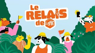 Le 18 mai 2025 prenez le relais de la SPA  🐾🏃 [upl. by Valentino]