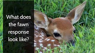 What is the Fawn Trauma Response [upl. by Tucker232]