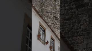 Discover Obidos in 100 Seconds  Portugal’s Medieval Town [upl. by Fatima]