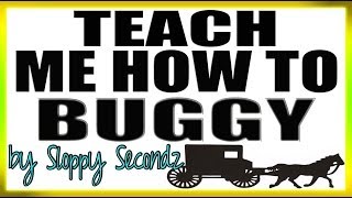 TEACH ME HOW TO BUGGY by Sloppy Secondz Music  Amish song [upl. by Ok]