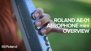 Roland AE01 Aerophone mini Overview [upl. by Elleoj318]