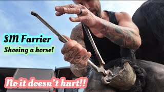 SM Farrier  Shoeing a horse  farrier horse satisfying [upl. by Murrell123]