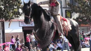 China New Year 2014 Parade dancing horses [upl. by Heidy]