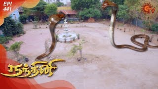 Nandhini  நந்தினி  Episode 441  Sun TV Serial  Super Hit Tamil Serial [upl. by Jermayne346]