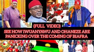 Iwuanyawu Ohaneze Igbo Politicians Panic over the Coming of Biafra Renew Clamor for Restructuring [upl. by Dierolf448]