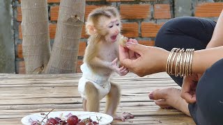 Smarty Baby Sarina Enjoying Eat Fresh Grape Fruit [upl. by Lecirg]