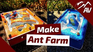 How to Build an Ant Farm  DIY Ytong Ant Nest Formicarium [upl. by Kenna668]