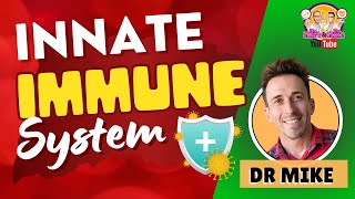 Innate Immunity  Immune System [upl. by Dyl]