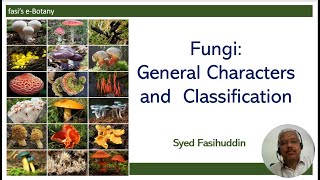 Fungi General characters and Classification [upl. by Cissy]