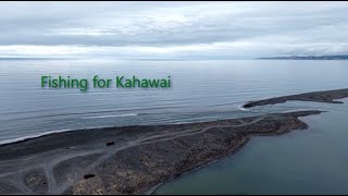 Fishing for kahawai in New Zealand  4K60 DJI Air 3S [upl. by Ayin]