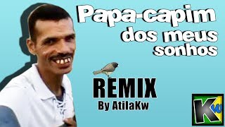 Papacapim dos meus sonhos  AtilaKw Remix [upl. by Nordek838]