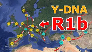 How did the YDNA Haplogroup R1b become EuropeanHuman Migration [upl. by Stroup]