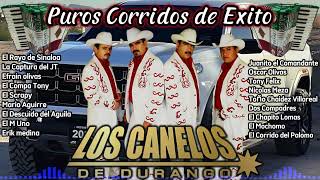 🔥Los Canelos de Durango MIXPuros Corridos Alterados Los Mejores Corridos de Los Canelos🔥🎼 [upl. by Klina728]