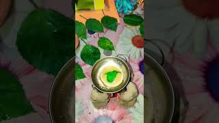 Miniature puchka mini panipuri🤤🤤 in mini kitchen mini food trending viralvideo [upl. by Ahsemad731]