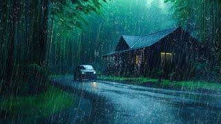 Barulho de Chuva com muitos Trovões na Estrada da Floresta Nebulosa  Chuva e Trovoadas para Dormir [upl. by Duffie]