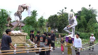 SERU BANGET PAWAI OGOH OGOH HANOMAN DAN CELULUK KELILING DESA [upl. by Devan72]