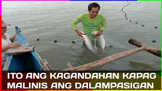 Special at malalaking isda nasa tabi lang kagandahan ng malinis na baybayin [upl. by Earesed]