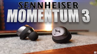 Sennheiser Momentum 3  Sounds Like A Winner [upl. by Leugimsiul145]