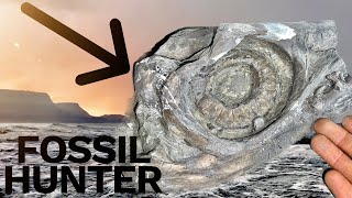 MuseumGrade Ichthyosaur SKULL Found Ultra Rare Find  Fossil Hunter [upl. by Jorgan404]