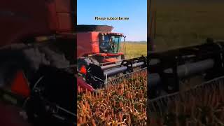 Experience a prosperous autumn harvest with Case harvesters agricultural machinery video [upl. by Koeninger]