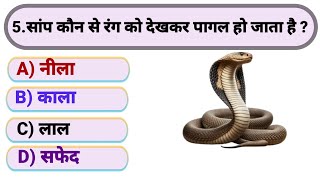 Most important Gk QuestionsGk Questions MahatvpurnGeneral Knowledge new Gk Question GKHindi 2024 [upl. by Madeline]