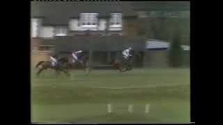 1981 Freshfields Holidays Handicap Chase [upl. by Jary]