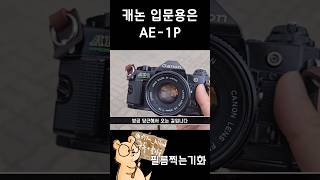 캐논으로 수동 필름카메라 입문하려면 캐논 AE1p 추천 [upl. by Petrina866]