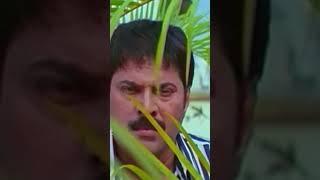 സ്വയംവര ചന്ദ്രികേ  Chronic Bachelor  Mammootty  Mukesh  Rambha  Bhavana  Innocent [upl. by Ojahtnamas124]