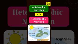 Autotrophic Nutrition vs Heterotrophic Nutrition Class 10 Chapter 1 [upl. by Estey]