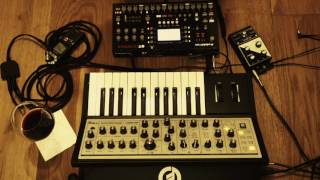 Elektron Octatrack Live Resampling and Moog Sub Phatty [upl. by Yelsnya]