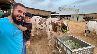 Cow mandi with my son 🐐🐂  Mustafa Hanif BTS  daily vlogs  cow mandi 2022 [upl. by Assirol]