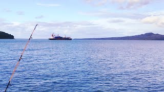 Kahawai Fishing🎣🎣Mission Bay🌊New Zealand🇳🇿 [upl. by Ingram251]