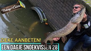 ZIEKE AANBETEN IN AMSTERDAM  Een dagje snoekvissen 28 [upl. by Notyap919]