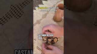 Antepasto de berinjela viral shorts short shortvideo food recipe shortsvideos recipes [upl. by Anastos658]