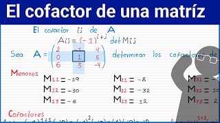 ¿Qué es el Cofactor de una Matriz y Cómo Encontrarlo Fácilmente 😇🙂 [upl. by Nayhr322]