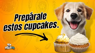 Cómo hacer quotcupcakesquot para perros [upl. by Chilton156]