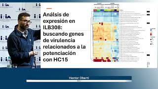 3er Simposio Microorganismos para la Agricultura  H Oberti [upl. by Wordoow115]