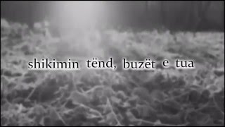 Mc Kresha  Era Lyrics Video [upl. by Garcon]